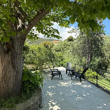 Lägenhet A Casa Corbaia 40 M2, Jardin Prive, Parking, Proche Centre Et 40 M2, Private Garden Parking Near Town Center And Sea Port And Airport Bastia (Corsica)