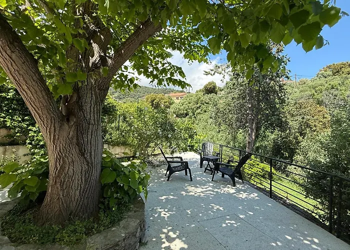 Apartmán A Casa Corbaia 40 M2, Jardin Prive, Parking, Proche Centre Et 40 M2, Private Garden Parking Near Town Center And Sea Port And Airport Bastia (Corsica)